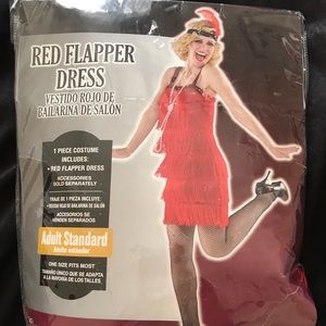 Roaring 20s Costume (Dress & Accessory)